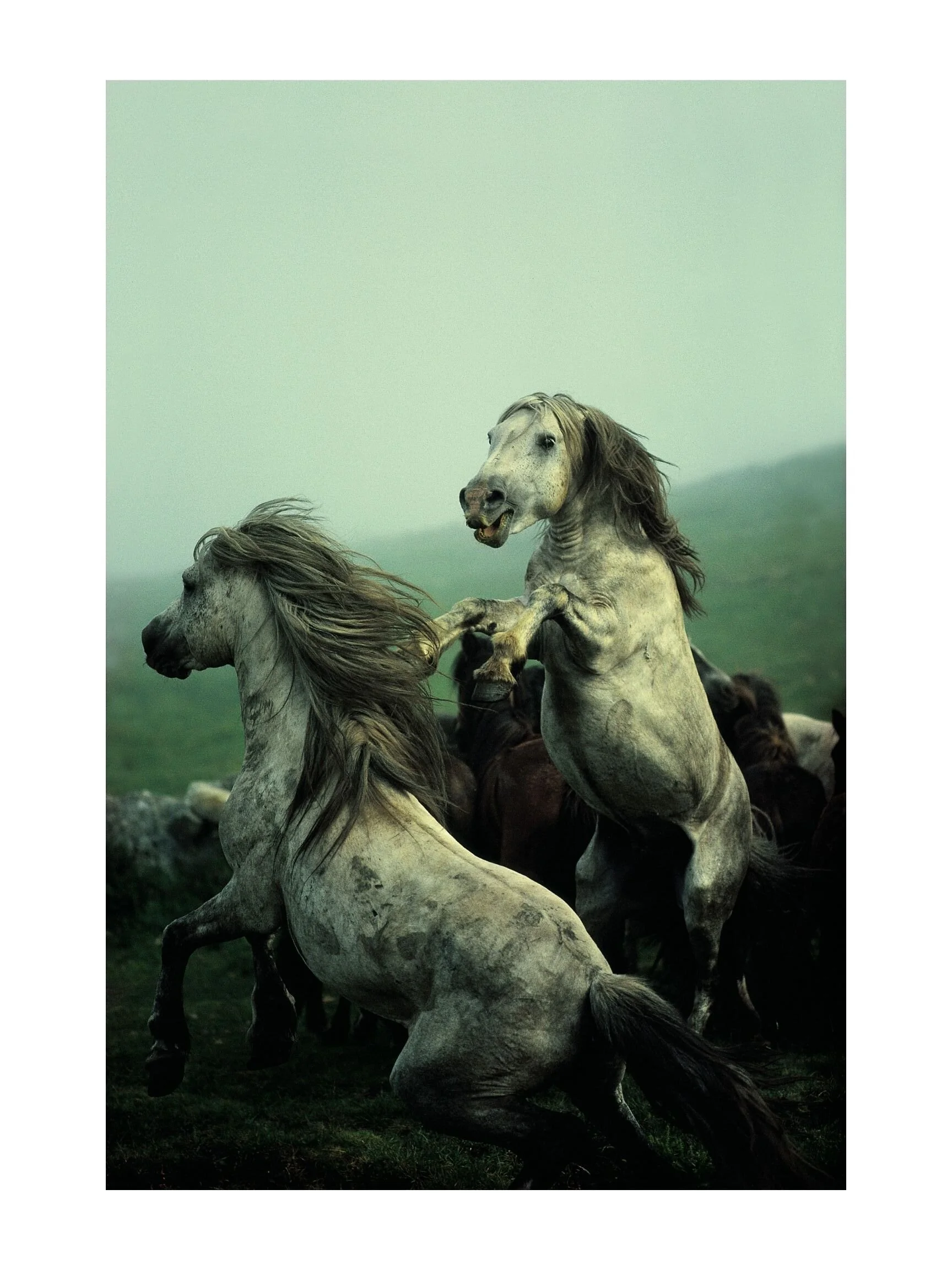 David Alan Harvey Collection Poster - Spain — DAVID ALAN HARVEY